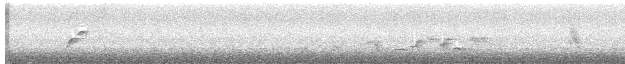 Batı Amerika Sinekkapanı (occidentalis/hellmayri) - ML468456241