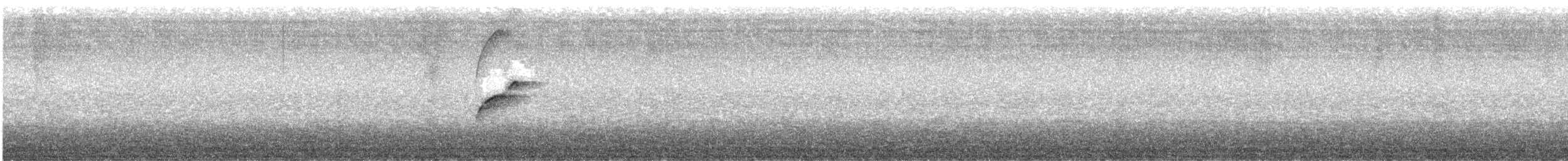 Batı Amerika Sinekkapanı (occidentalis/hellmayri) - ML468456251