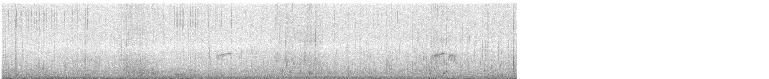 Calidris sp. - ML468464311