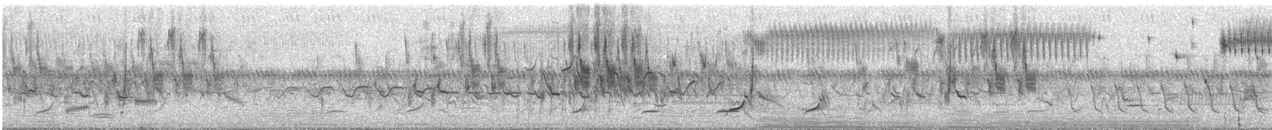 Heuschreckenammer - ML468491871