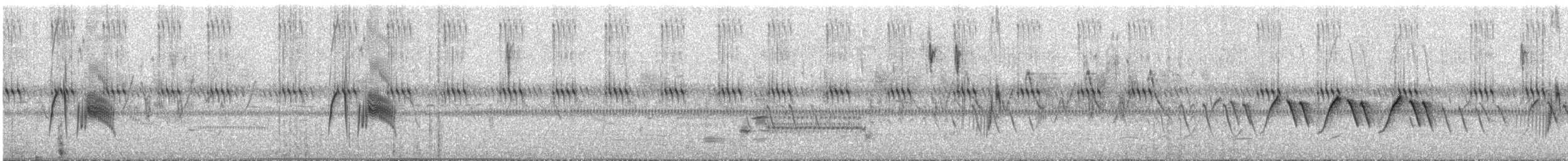 חטפית ער - ML468493521