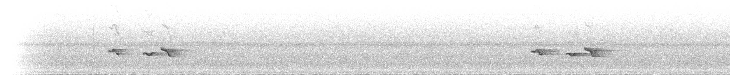 Рувензорская короткохвостка - ML468535271