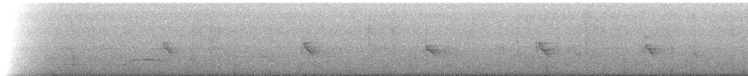 Copetón Capirotado - ML468562401