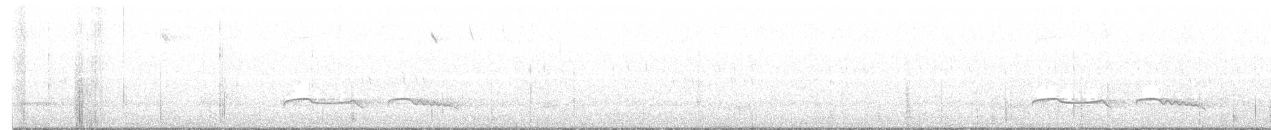 Дрімлюга гірський (підвид poliocephalus) - ML468589781