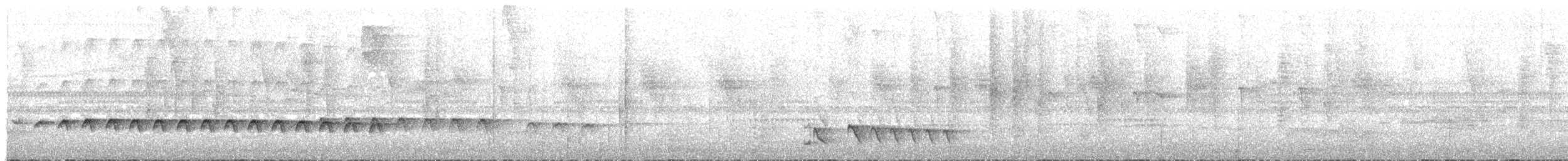 Western Fire-eye (Black-bellied) - ML468610571