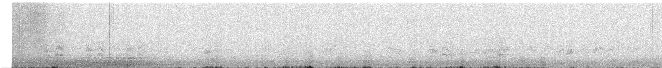 Magellanic Snipe - ML468663691