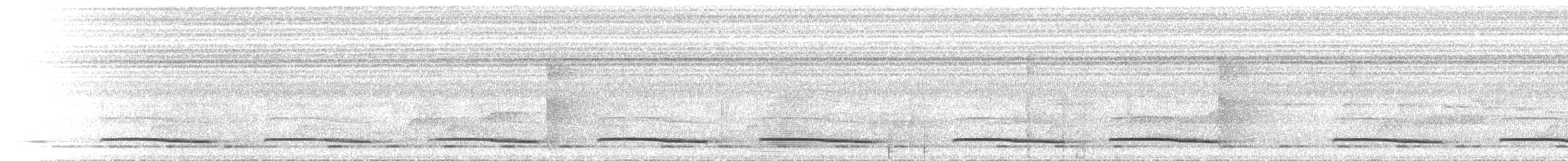 Barred Long-tailed Cuckoo - ML468706491