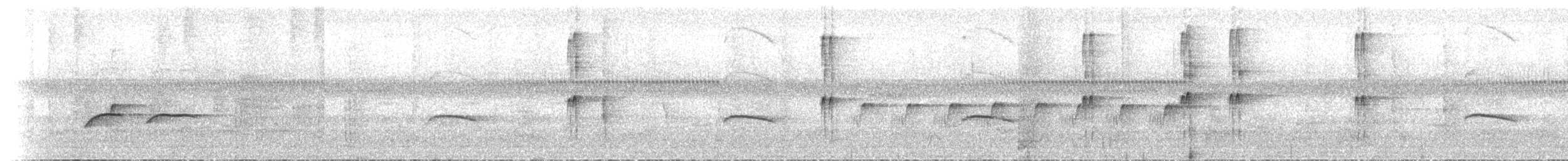 Jameson's Antpecker - ML468706571