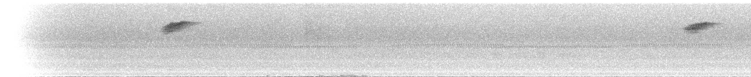 Habeş Yer Ardıcı (tanganjicae) - ML468711261