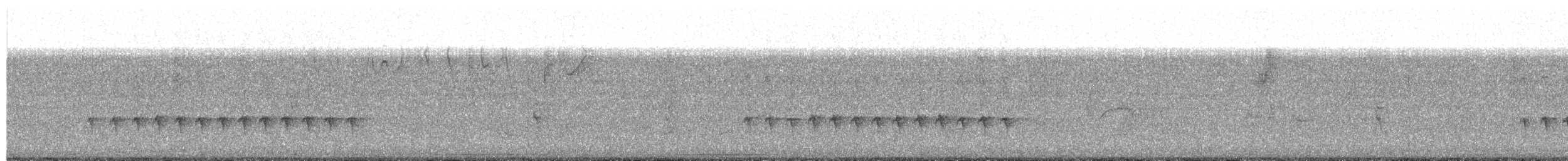 Long-billed Gnatwren - ML468763681