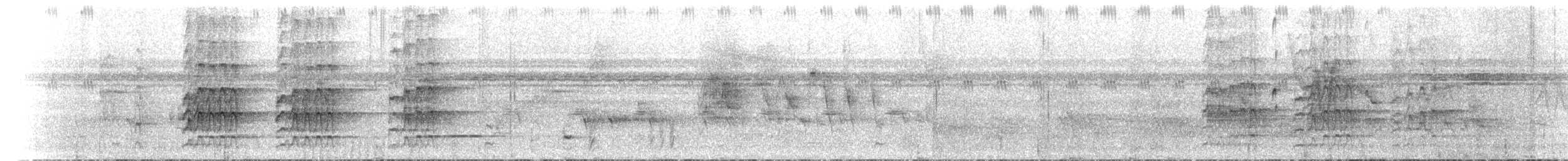 Olive Woodpecker - ML468800951