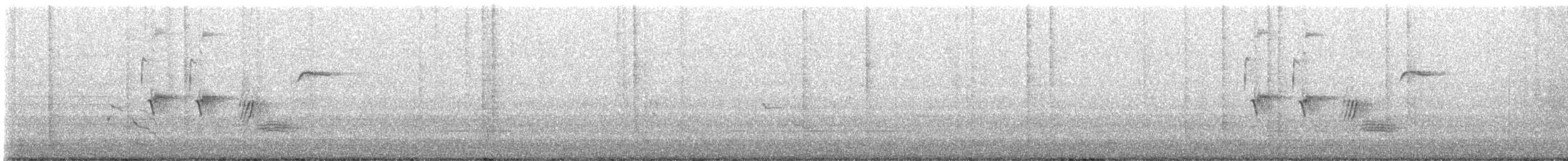 Тауї плямистий - ML468805631