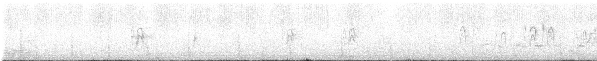 Barn Swallow (White-bellied) - ML468826121
