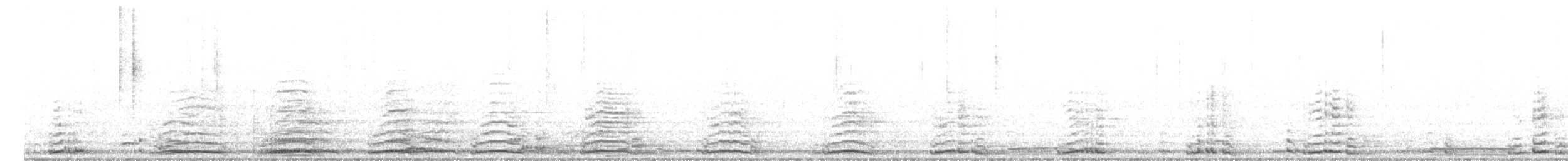 Cygne siffleur - ML468879561