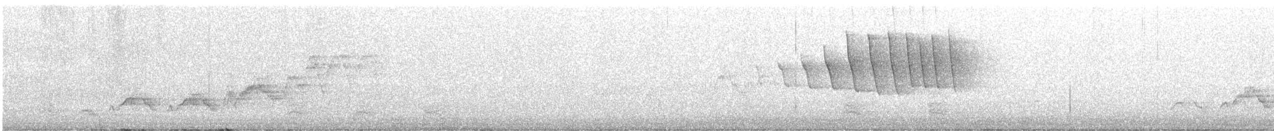 Wilson's Warbler - ML468879921