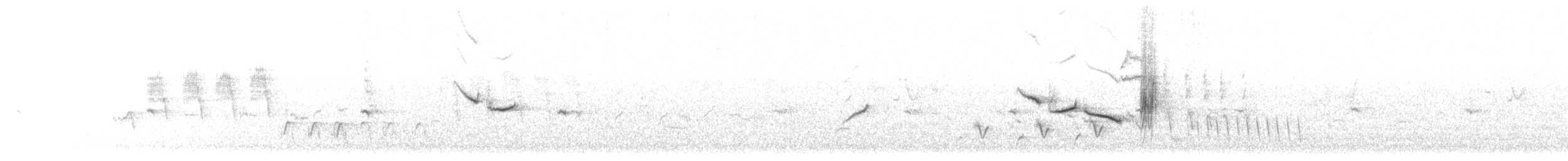 Large-billed Reed Warbler - ML468906821