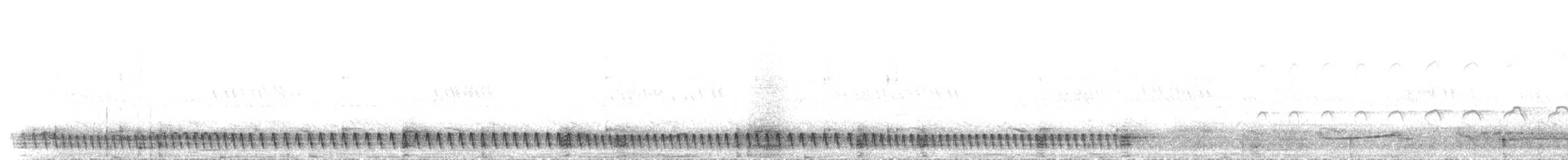 Square-tailed Nightjar - ML468932151