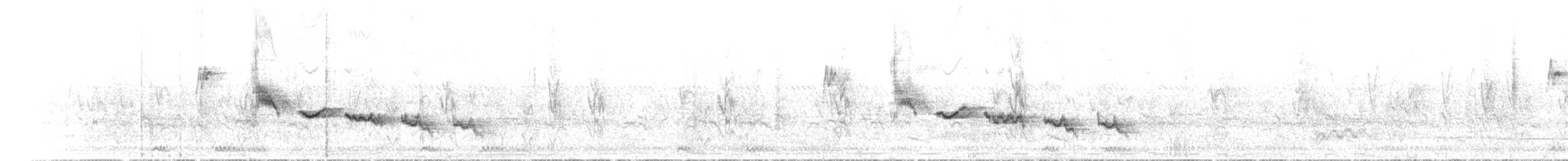 White-browed Scrub-Robin - ML468932591