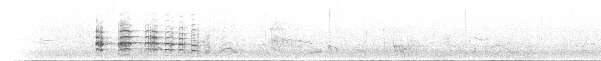 Coqui Francolin (Bar-breasted) - ML468932911