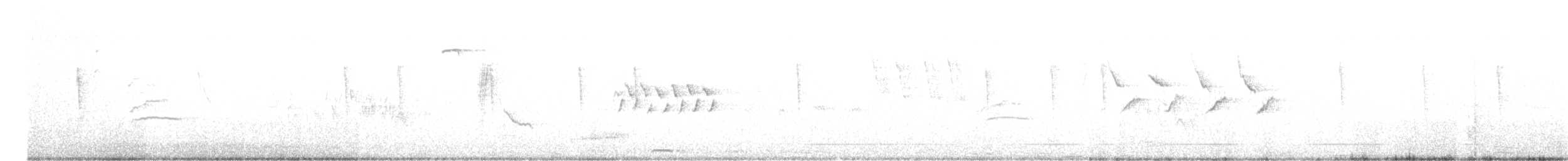 Bewick's Wren - ML468957341