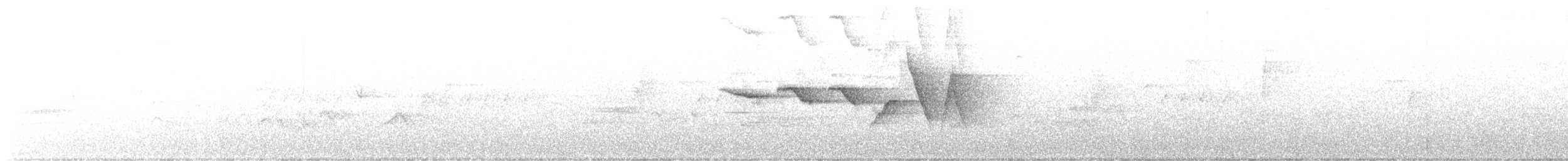 Reinita de Swainson - ML468964911
