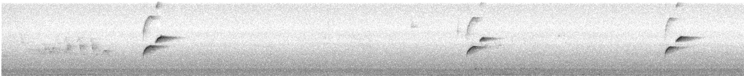 Batı Amerika Sinekkapanı (occidentalis/hellmayri) - ML469016901