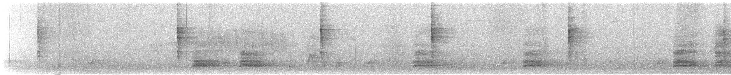 Wilson's Warbler - ML469052661