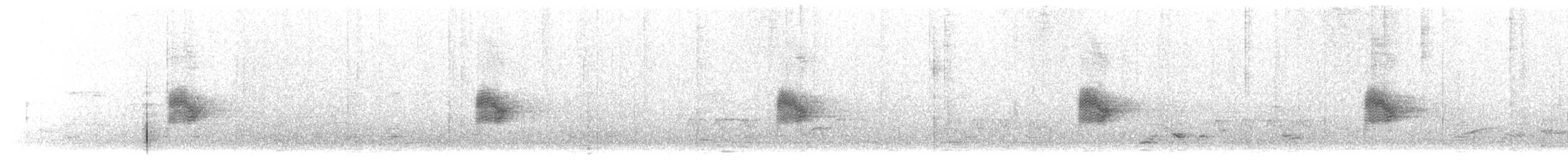 Common Nighthawk - ML469057161