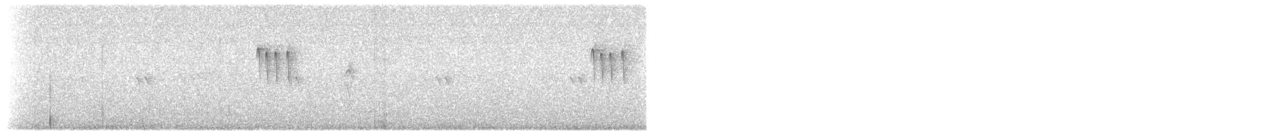 hvitissetyrannulett (subcristata/straminea) - ML469069141