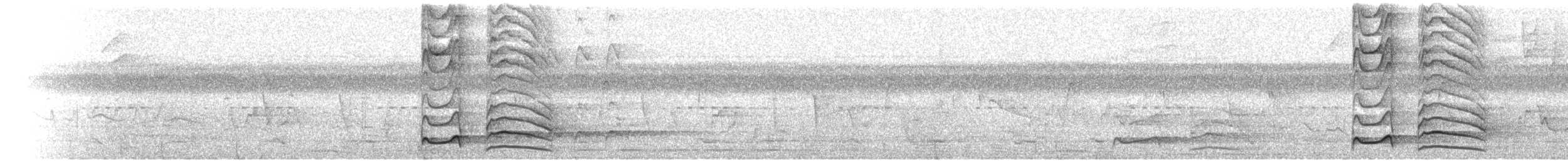 Waved Woodpecker (Waved) - ML469086081