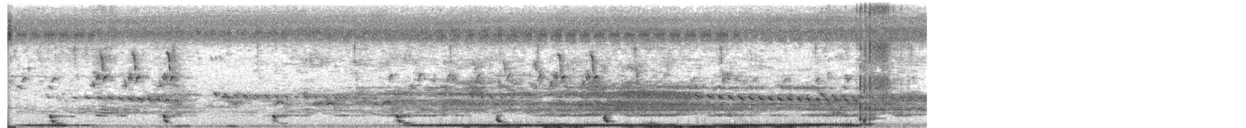 董雞 - ML469123491