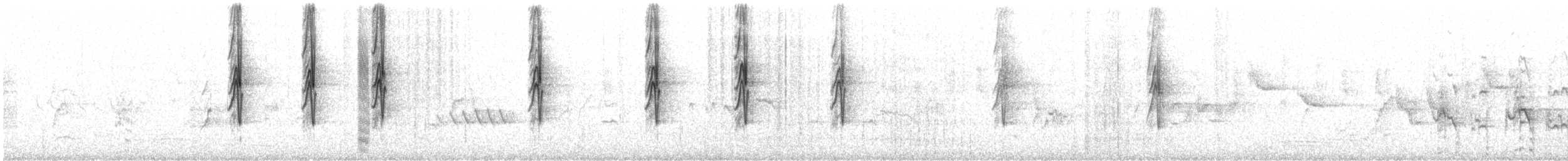 Méliphage orné - ML469129481