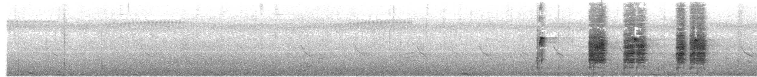 halsbåndfrankolin - ML469152331