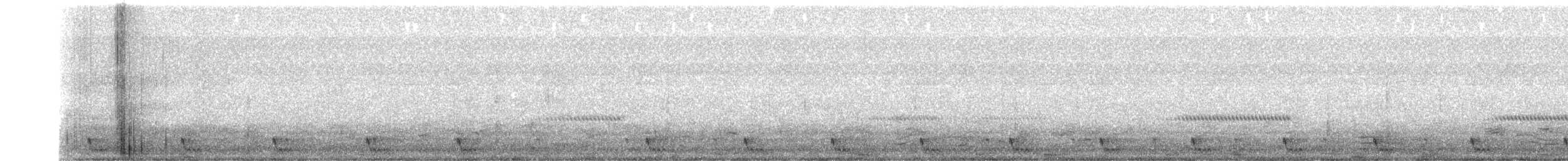 Large-tailed Nightjar - ML469158331