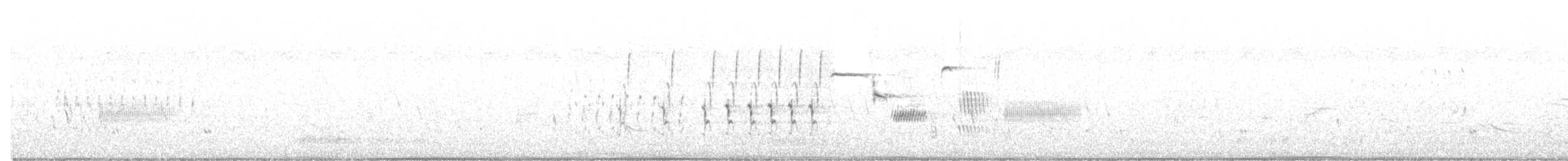 Chingolo Costero - ML469170011