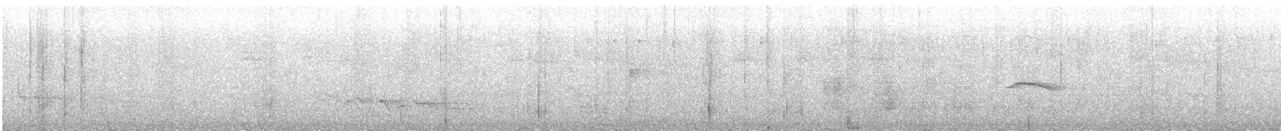 Kara Gagalı Koca Vireo - ML469184541