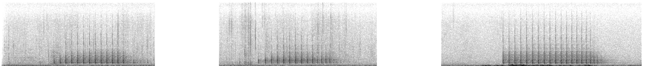 Fichtenspecht - ML469252001