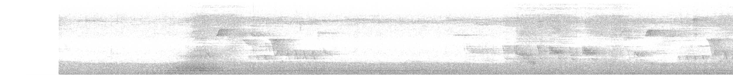 Southern House Wren - ML469267771