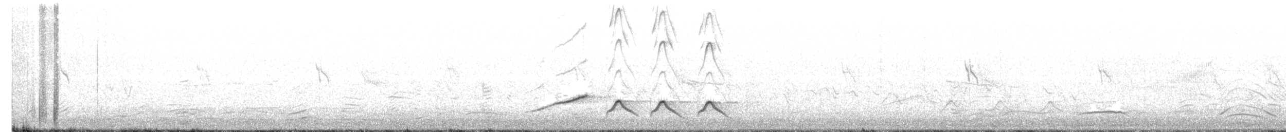 Schmalschnabelkardinal - ML469284881