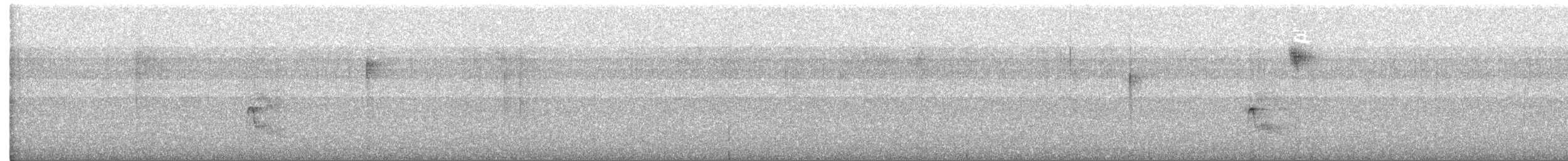 beltetyrann - ML469298851