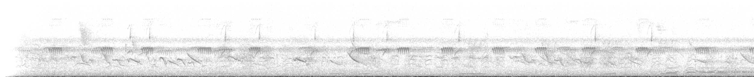 Grauschulter-Schnäppertyrann - ML469355931