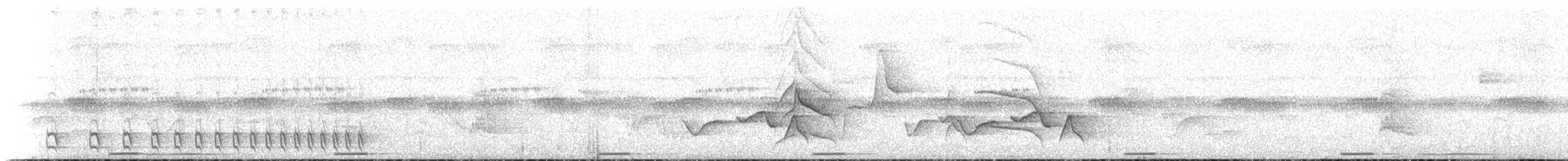 Аспидный колючник (leucogaster/huallagae) - ML469356011