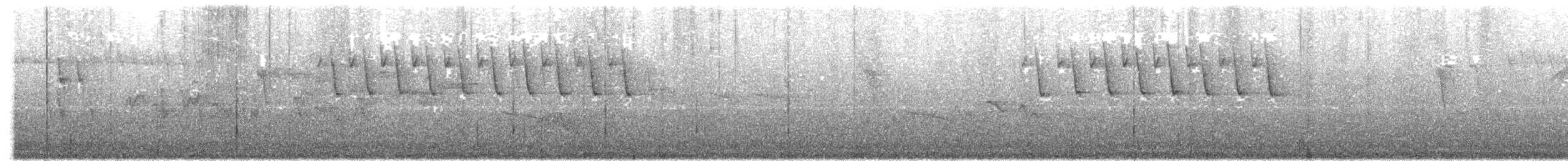 Aves sp. - ML469391391