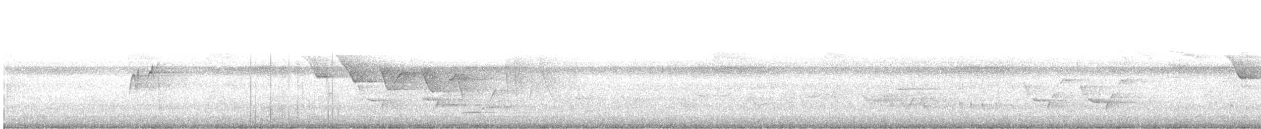 Трясогузковый певун - ML469410911