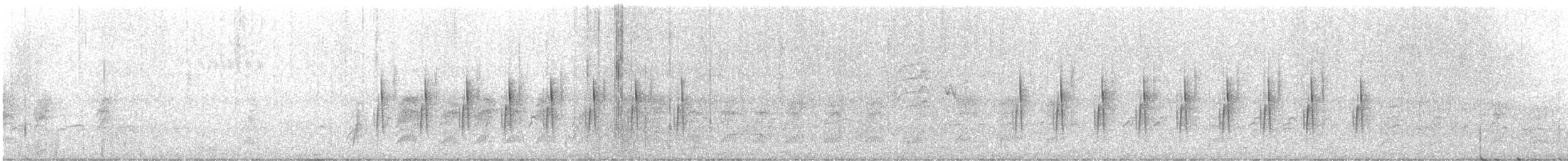 Camaroptère à tête grise (groupe brevicaudata) - ML469417761