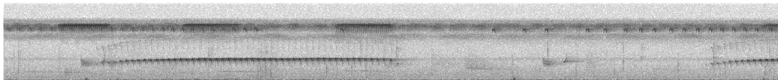 Olivscheitel-Ameisenvogel - ML469423181