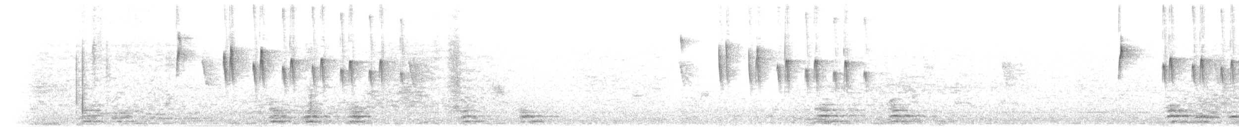 White-crested Tyrannulet (Sulphur-bellied) - ML469464341