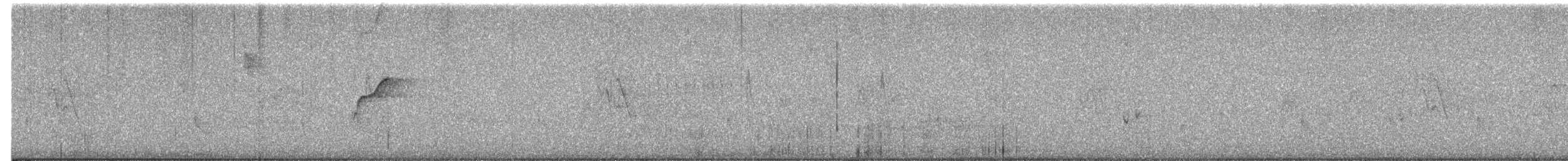 Batı Amerika Sinekkapanı (difficilis x hellmayri) - ML469475261