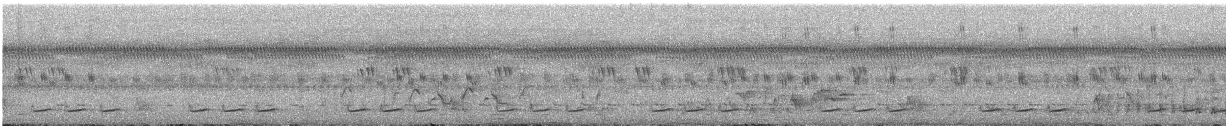 Yellow-browed Camaroptera - ML469506701