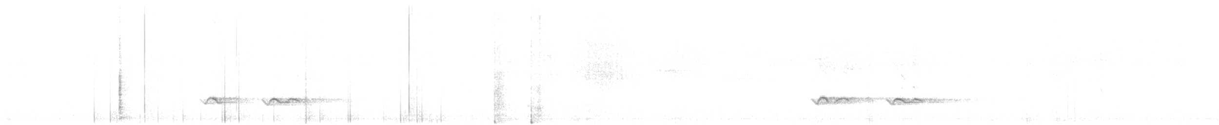 カナダカケス（obscurus／griseus） - ML469547171